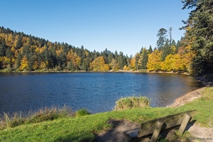 20251011-07 6519-Blanchemer