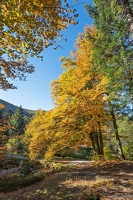 20251011-11 6522-Blanchemer