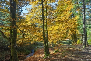 20251011-15 6543-Blanchemer