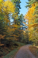 20251011-18 6548-Blanchemer