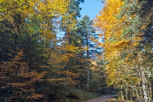 20251011-19 6549-Blanchemer