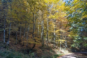 20251011-20 6550-Blanchemer