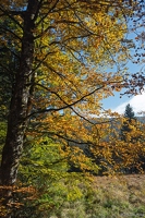 20251011-21 6552-Blanchemer