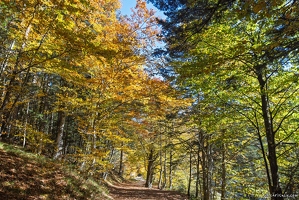 20251011-22 6553-Blanchemer