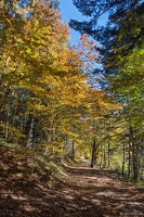 20251011-23 6554-Blanchemer