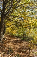 20251011-24 6555-Blanchemer