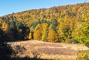 20251011-26 6558-Tourbiere Artimont