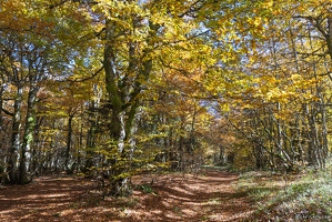 20251011-28 6565-Aux trois Fours