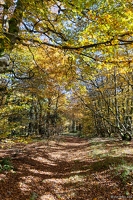 20251011-29 6566-Aux trois Fours