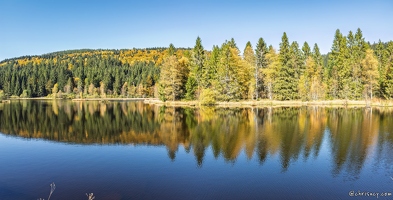 20251011-31 6580-La Bresse Lac de Lispach Pano