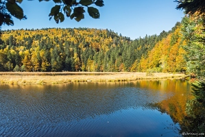 20251011-32 6600-La Bresse Lac de Lispach