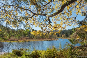 20251011-33 6594-La Bresse Lac de Lispach