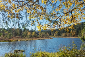 20251011-34 6596-La Bresse Lac de Lispach