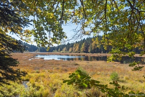 20251011-36 6601-La Bresse Lac de Lispach