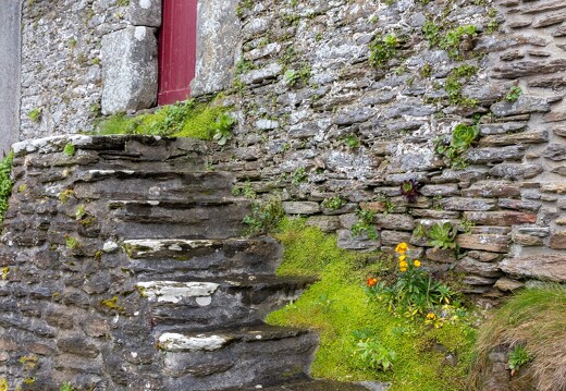 20230425-61 4022-Le Conquet escalier