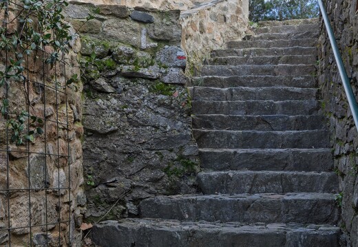 20260130-32 2450-Collobrieres