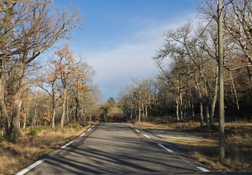 20260201-50 2630-Sainte Baume route