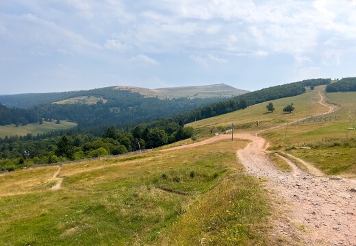 20220720-3350-Schmargult