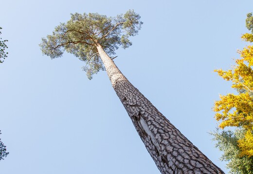 20121019-0117-Raon Etape etang criquette