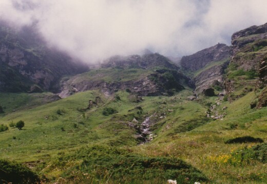 19910810-0050-au lac Oo