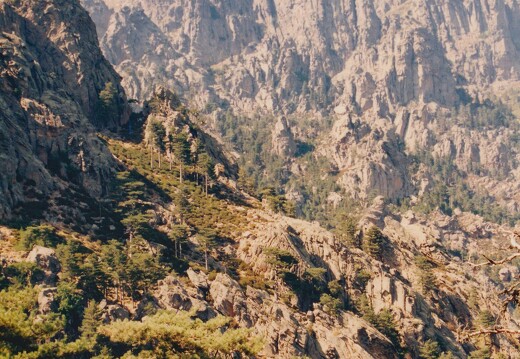 19930815-0164-Vacances Porto Pollo Bavella