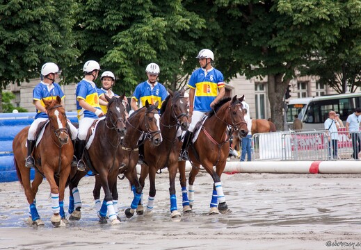 20090523-0196-Horseball