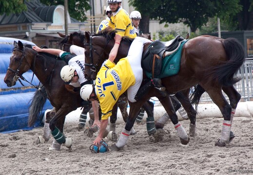 20090524-0619-Horseball