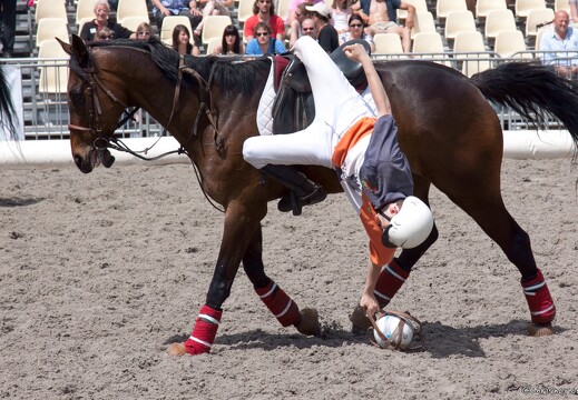 20090524-0815-Horseball