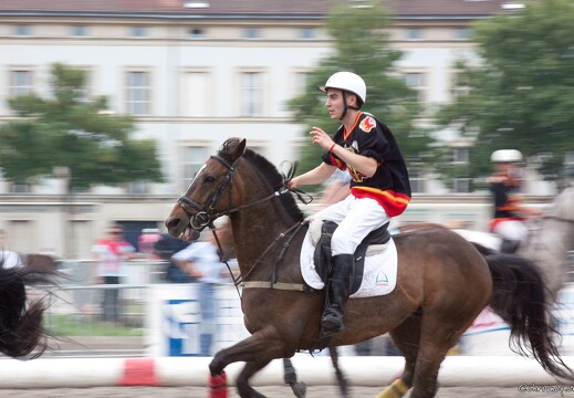 20090524-0627-Horseball