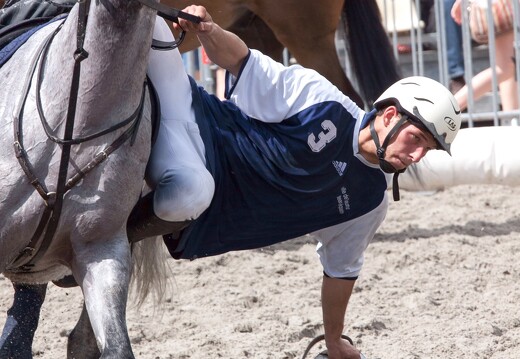 20090524-0963-Horseball