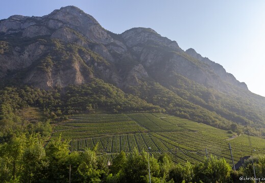 Le Vignoble de Savoie
