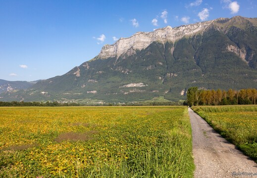 20190829-8852-L Arclusaz depuis la Combe de Savoie