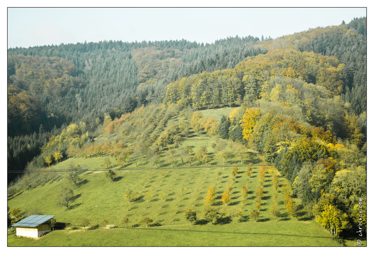 20121025-0360-Geroldseck.jpg