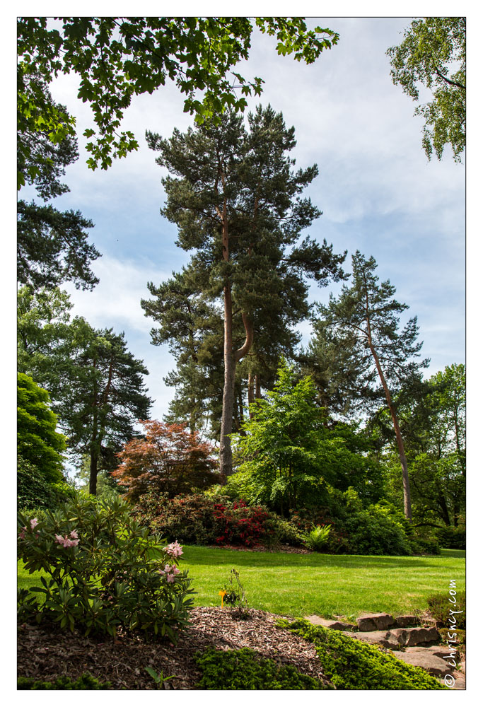 20130619-8318-Jardins de Callunes - 20130619-8318-Jardins_de_Callunes.jpg 20130619-8318-Jardins_de_Callunes.jpg