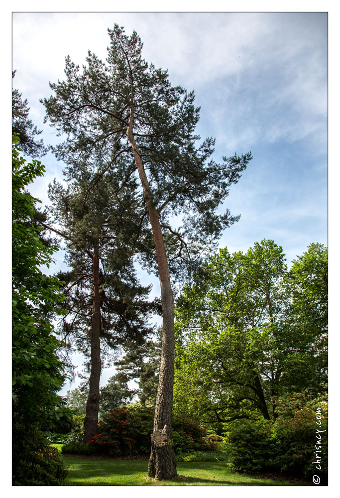 20130619-8321-Jardins_de_Callunes.jpg