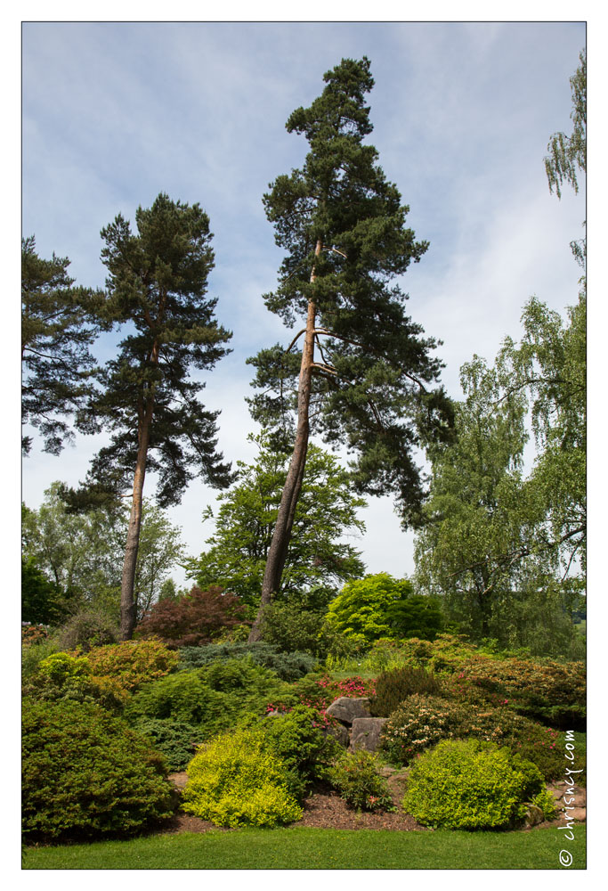 20130619-8406-Jardins_de_Callunes.jpg