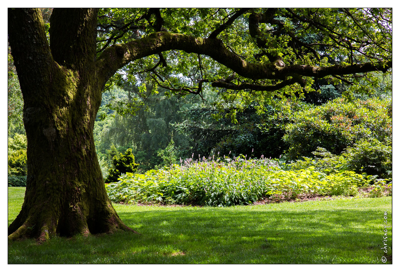 20130619-8422-Jardins_de_Callunes.jpg