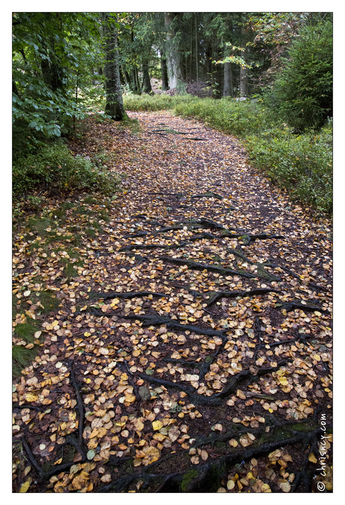 20131005-2869-Xonrupt_Longemer_promenade_Roche_du_Page.jpg