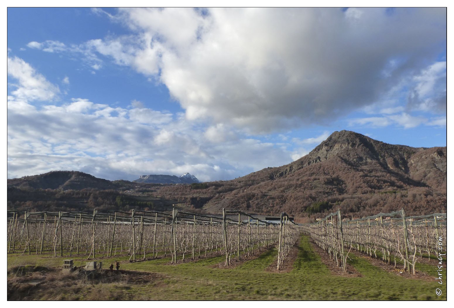 20140221-030_0191-a_Sisteron_les_vergers.jpg