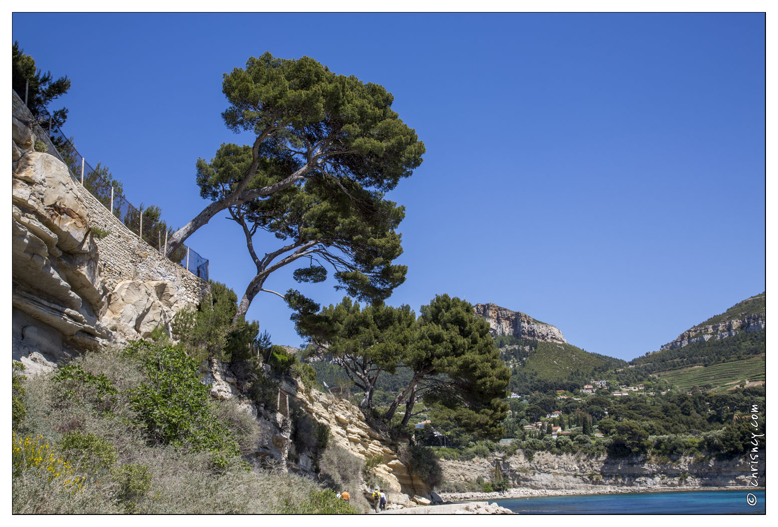 20140514-06_0506-Cassis_Anse_du_Corton_Pointe_de_la_Goye.jpg