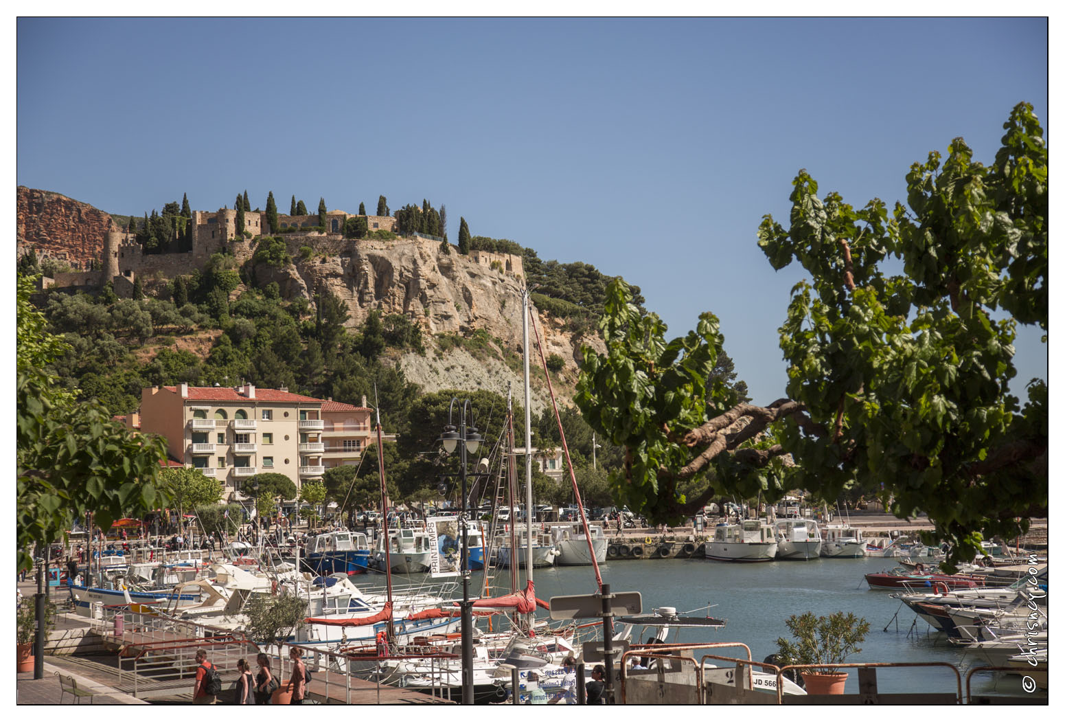 20140514-22_0533-Cassis.jpg