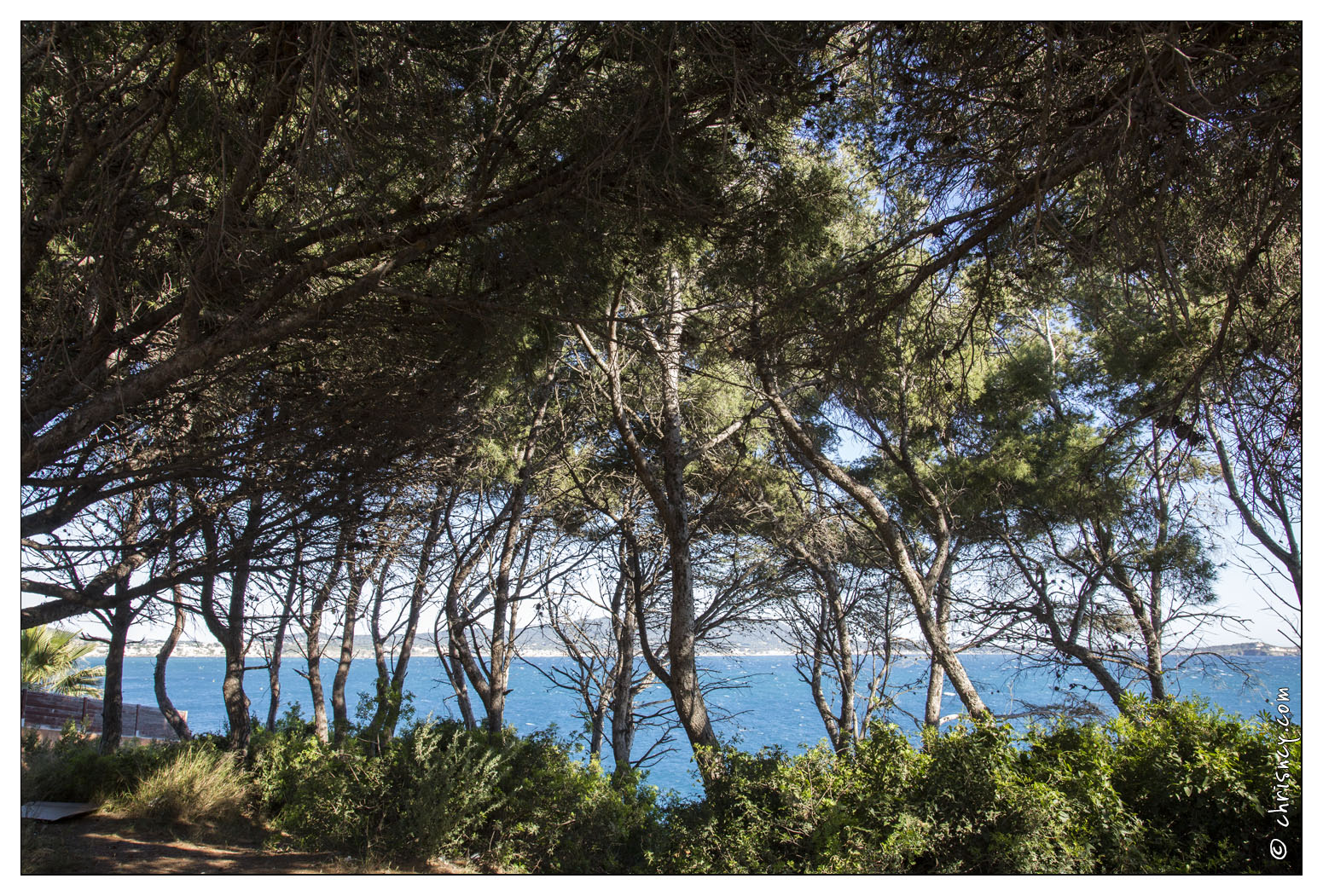 20140514-23_0543-Sanary_Pointe_de_la_Cride.jpg