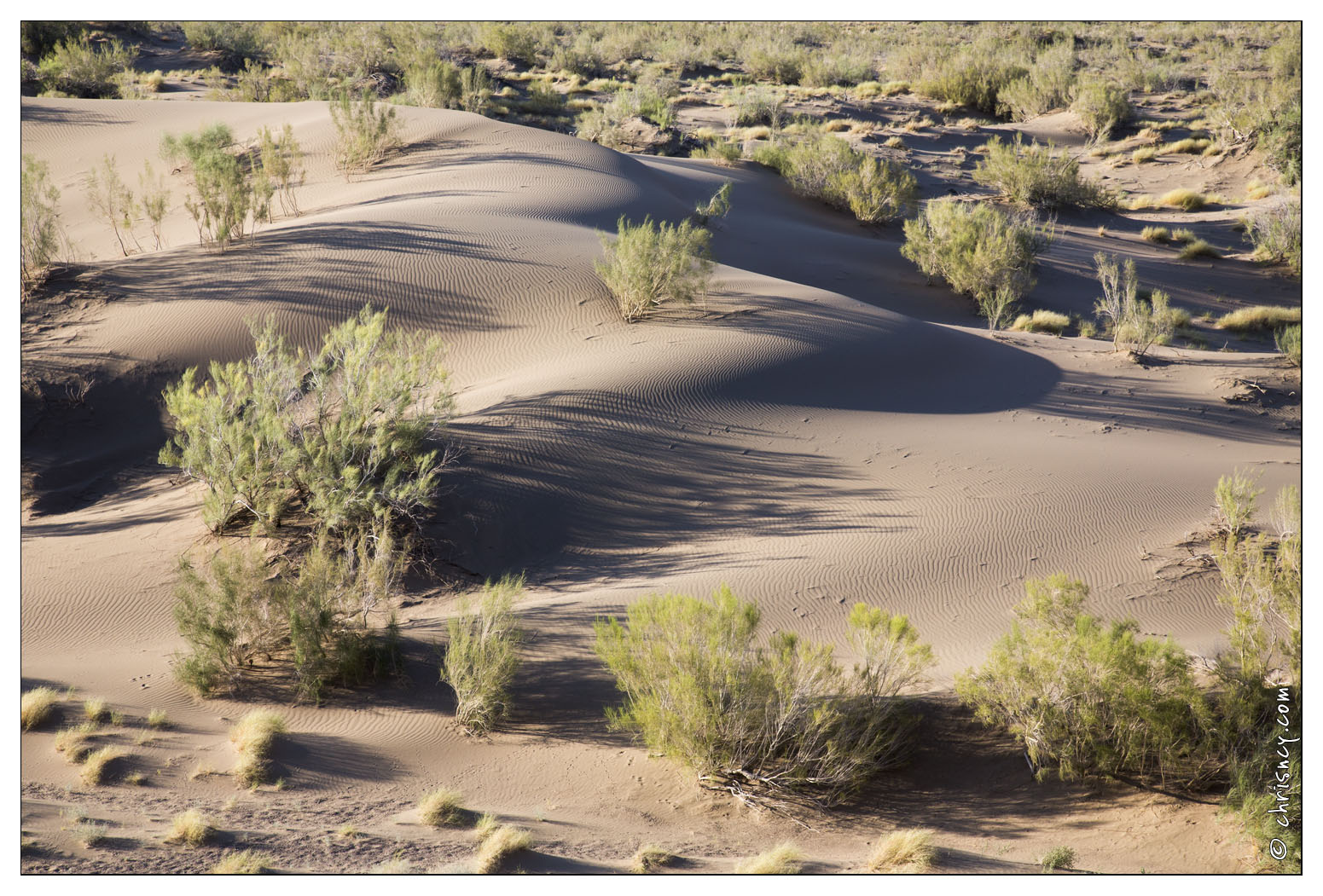 20140628-085_2899-Altyn_Emel_la_dune_chantante.jpg