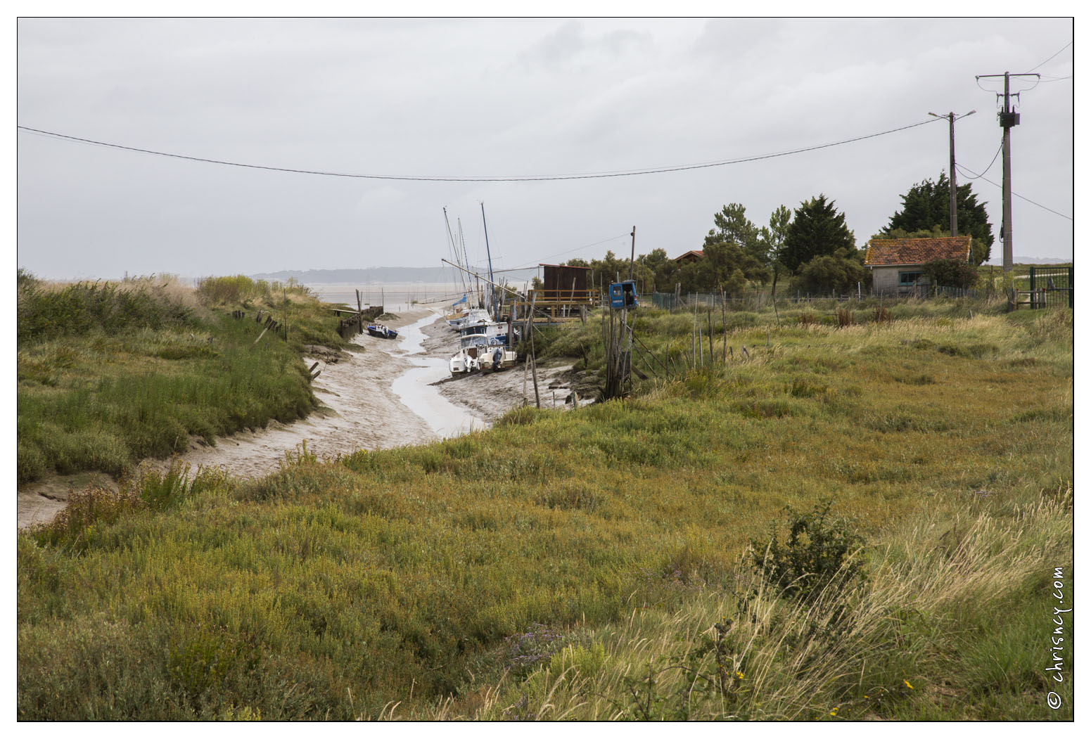 20140826-004_5603-Talais_sur_la_gironde.jpg