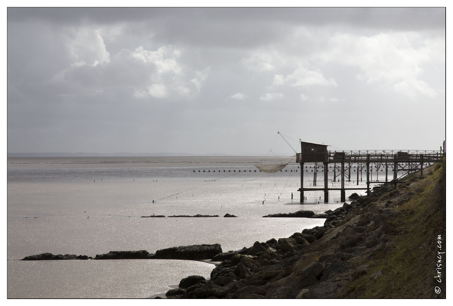 20140826-015_5622-Talais_sur_la_gironde.jpg