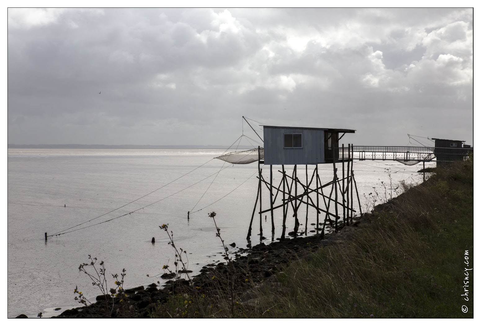 20140826-016_5614-Talais_sur_la_gironde.jpg