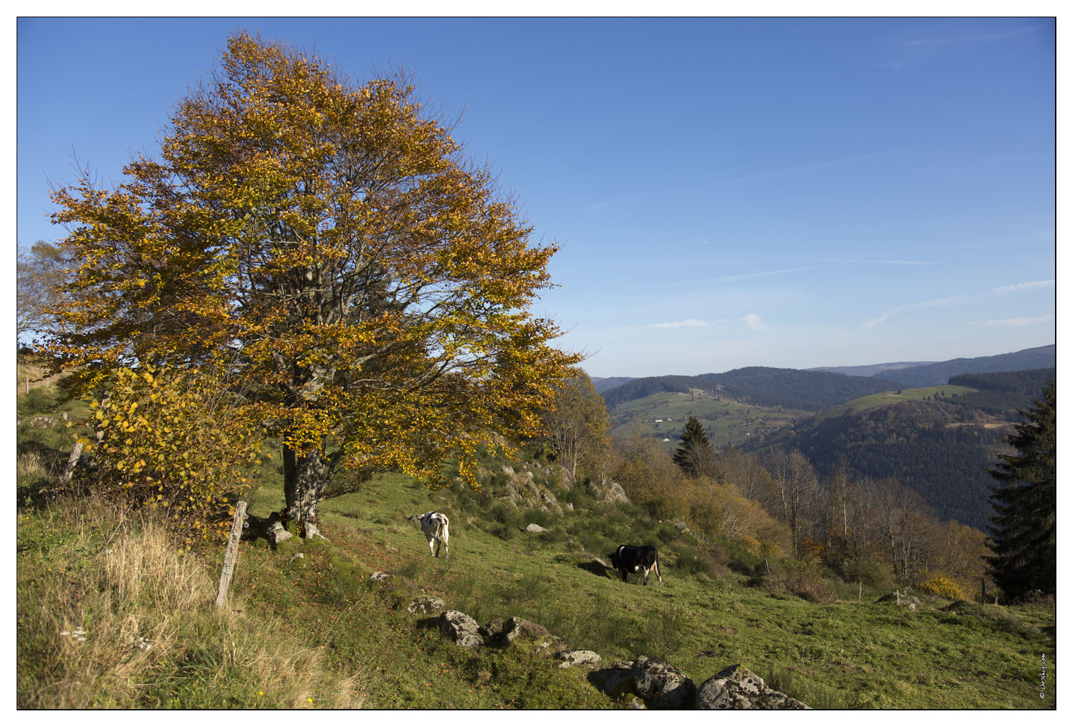 20141101-6557-La_Bresse_A_la_Roche_des_chats.jpg