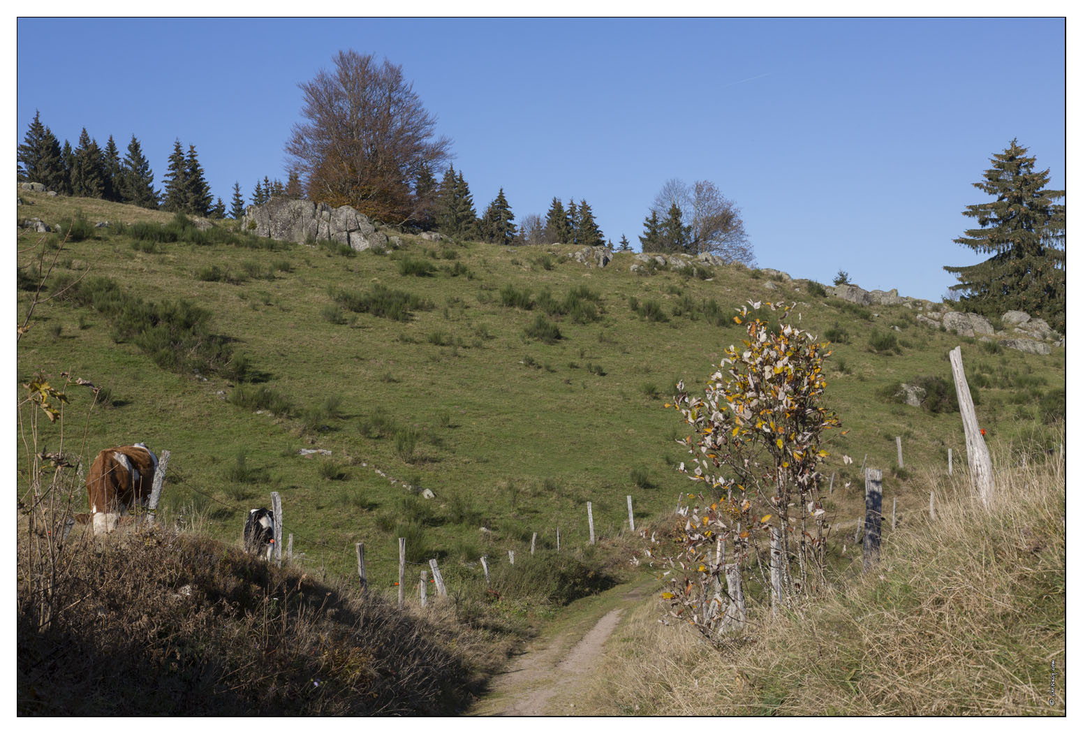 20141101-6561-La_Bresse_A_la_Roche_des_chats.jpg