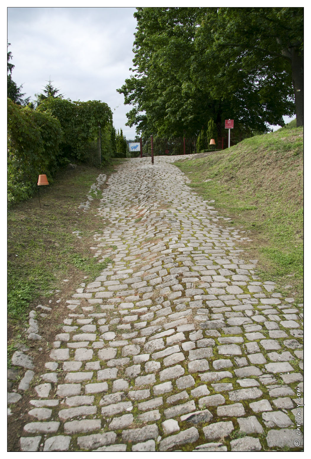 20070630-6318-Bitche_w.jpg