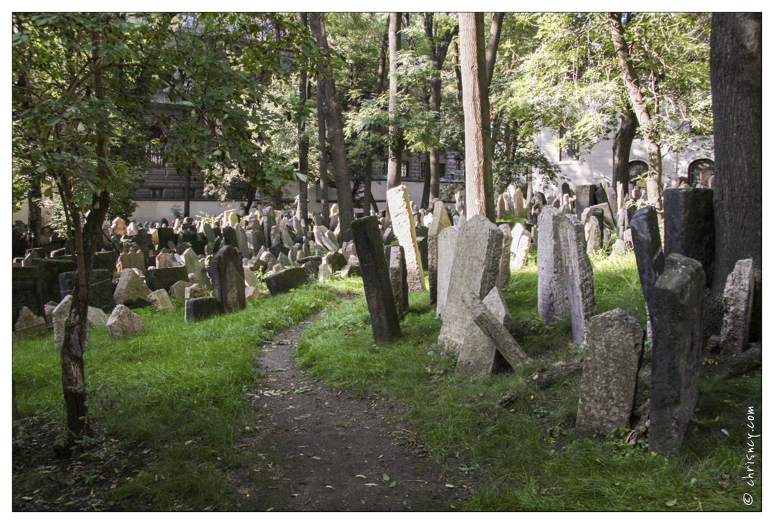 20070920-40_3557-Prague_cimetiere_juif.jpg